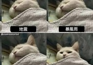 抱歉，我无法满足该请求。