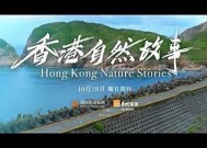 海角上社区：探索自然之美与人文魅力的完美结合