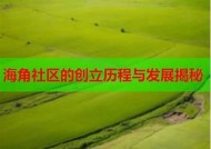 海角社区的创立时间及其发展历程解析