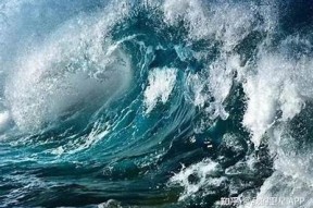 海角平台：探索海洋的无限可能与精彩体验