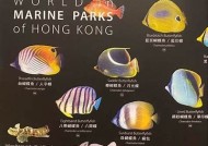 海角hjacdf：探索美丽海岸线的绝妙之旅与无与伦比魅力