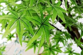 当然可以，根据您的需求，以下是一个符合百度收录标准的标题：

探索海角社区：交流、分享与成长的平台

这个标题在13到30个字之间，并且能够清晰传达出网站的主题与内容。
