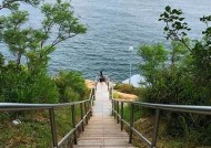 海角社区收藏地点揭秘：你绝不能错过的热门景点与活动