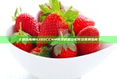 《适合海角HJ90CCNM模型的最佳配件及使用指南》
