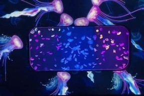 海角社区：探索海洋之美，感受独有魅力的度假胜地