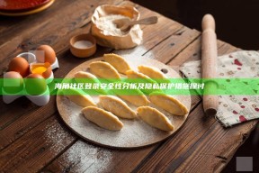 海角社区登录安全性研究及隐私保护措施探讨