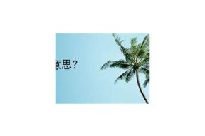 海角社区特有用户名大全：多样选择助你打造个性形象