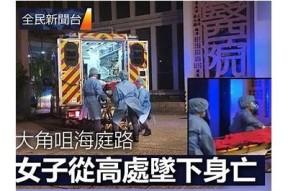 海角社区大事件南平视频：揭示社区背后的动人故事与精彩瞬间