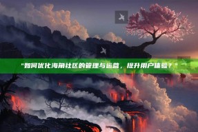 "如何优化海角社区的管理与运营，提升用户体验？"