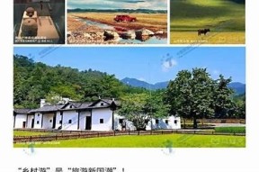 海角社区2021年最新官方网站域名发布信息与使用指南