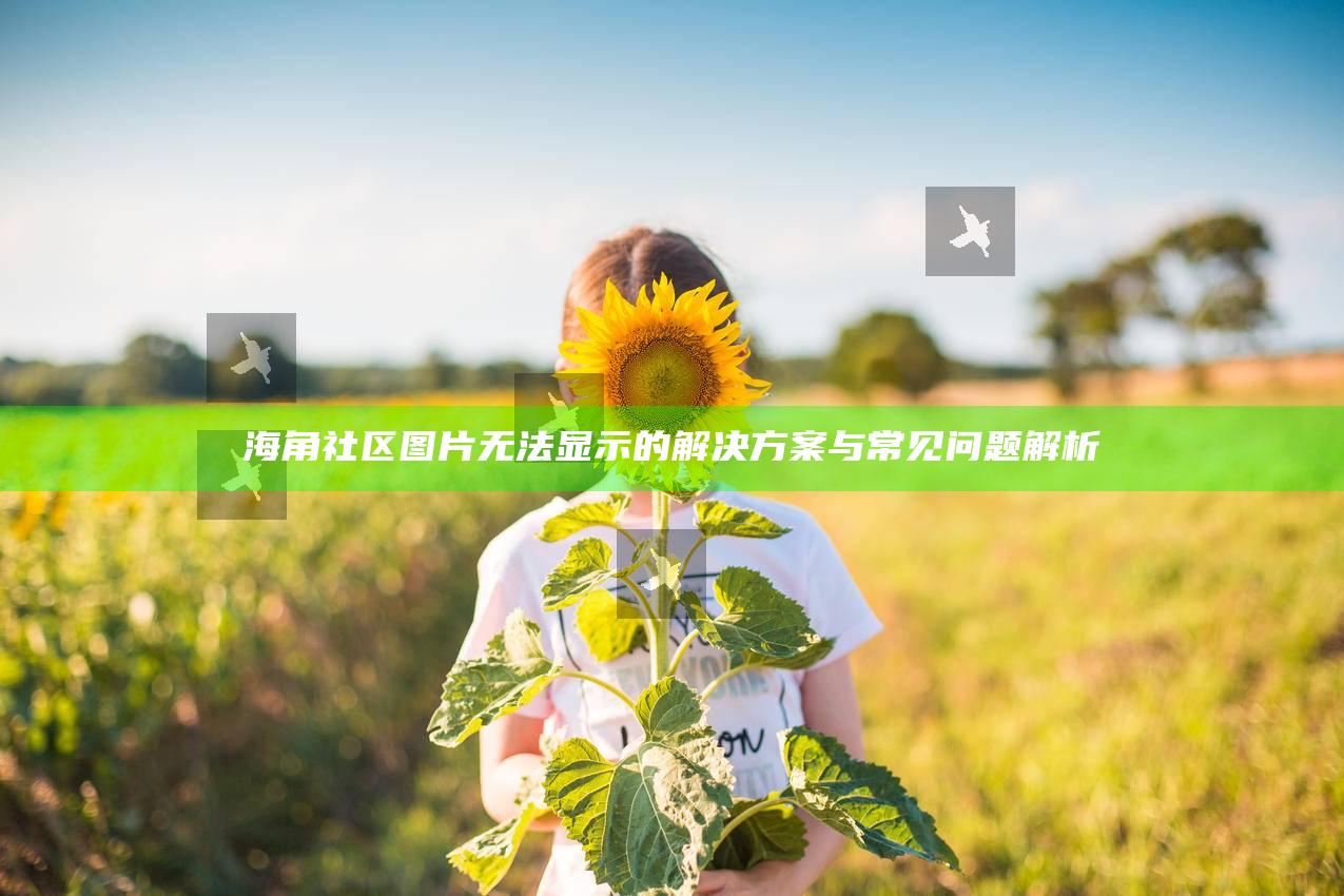 海角社区图片无法显示的应对方式与常见困难解析